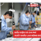 Tổng quan về xuất khẩu lao động Đức